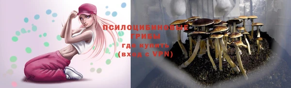 таблы Валдай