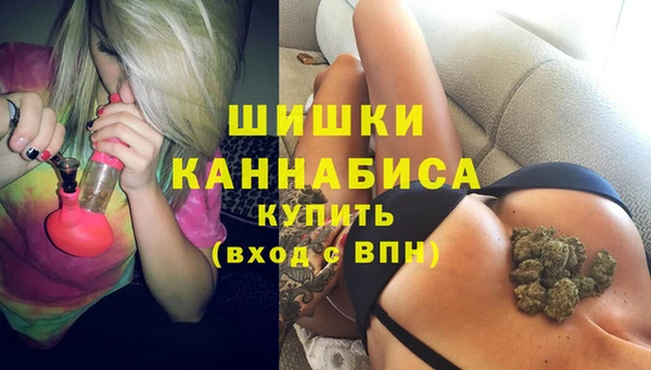 шишки Краснослободск