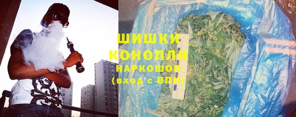 шишки Краснослободск