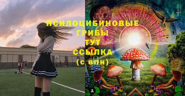 метадон Бутурлиновка