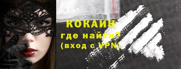 шишки Краснослободск
